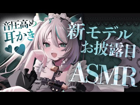 【🔴LIVE／#ASMR 】音圧高め耳かき✨新モデルお披露目🤍ASMR #whispering 【 #雪豹メイドお給仕中 / #vtuber 】