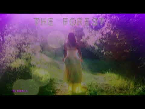 The Forest ASMR ★ Original bedtime Story ★ [Multilayer] Fairytale [Binaural] Immersive storytelling