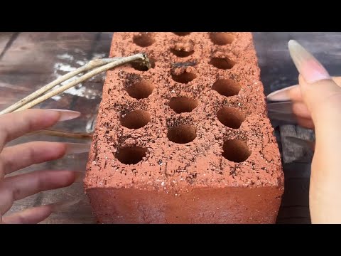 🌌 Outdoor Random Night ASMR | Stress Relief Tapping#asmr #diy #relax #funny