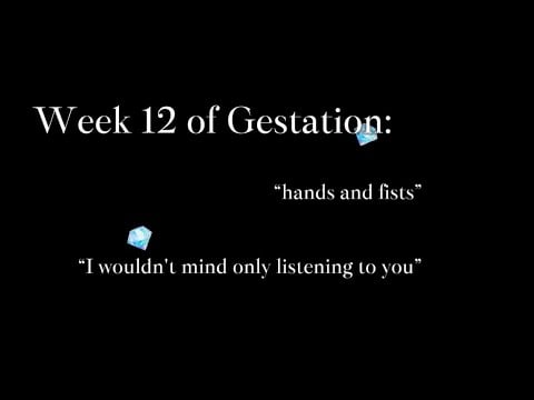 “ASMR” “Roleplay”: In the Womb, You Wonder about Sounds with Your Twin who Likes You, You Don’t Care