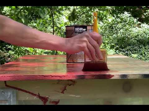Bird Sounds While Painting a Board