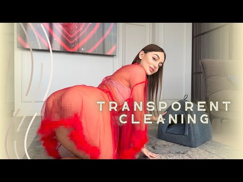 Transparent Cleaning – Steacey Cleans the Cat House 🐾🧼