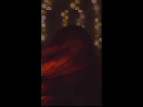 ❤️LIVE ASMR For Those Who Can’t Sleep❤️