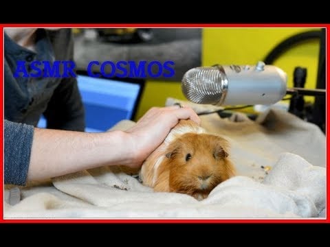 ASMR FRançais : Cosmos ASMR de retour ! ! bruit de bouche