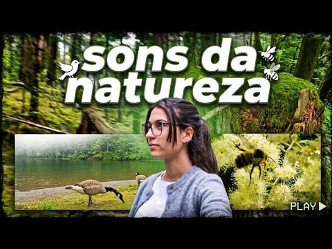 ASMR SONS DIVINOS DE TRILHA🏕✨️