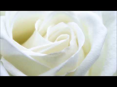 Unconditional Love Meditation