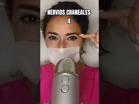 Examen Nervios Craneales | ASMR #asmr #triggers #asmrenespañol #roleplay #relaxing #triggersforsleep