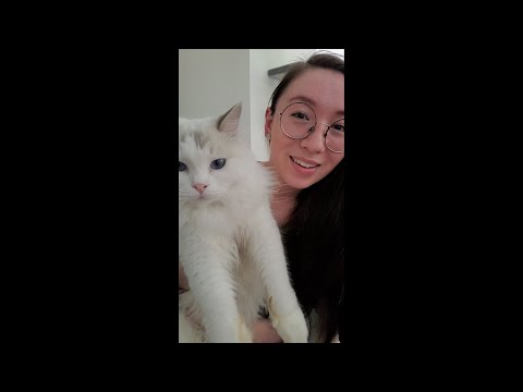 The Fastest Pet Store Roleplay! 🐾🐱 ASMR #Shorts