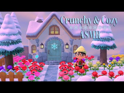 ASMR | Animal Crossing in Winter ❄️ SUPER close up whispers & crunchy snow
