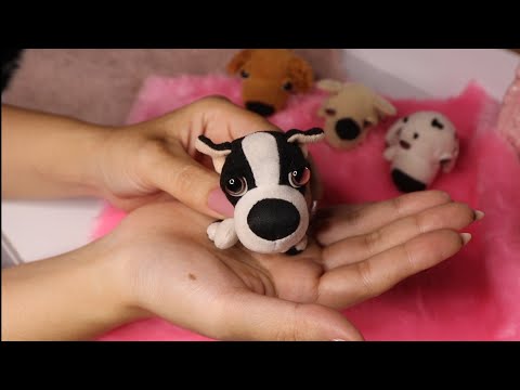 (ASMR) MOSTRANDO MINHA COLEÇÃO DE THE DOG (Cachorrinhos narigudos) 🐶🩷