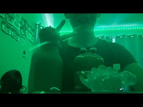 ASMR Only Using Green Triggers! 🎄💚🤑🍀🌲🐸☘️