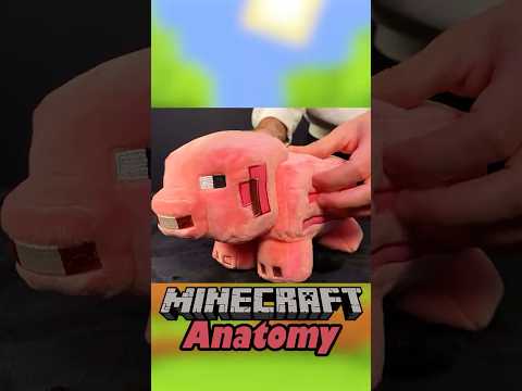 Anatomy of a Minecraft Pig 🐷
