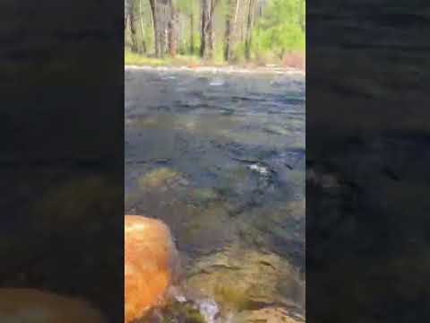 Yosemite Creek