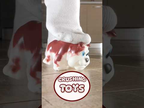 Pea's Socks vs. Soldier's Toys! Feet Crushing Things! Oddly Satisfying! ASMR