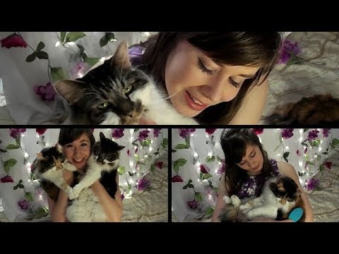 ASMR with My Cats - Purring and Brushing and Cuteness (Soft Spoken)