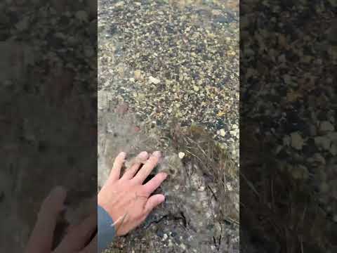 #asmr #tingly #lakeside #nature