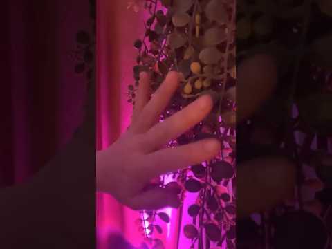 ✨Jour 12✨Mélodie douce au cœur de la nature #ASMR apaisant et ambiance végétale #calendrierdelavent