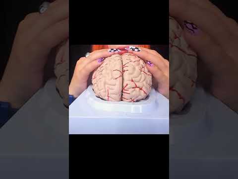 ASMR Brain Massage | Relaxing 3D Sounds for Mind Healing & Deep Focused #shortvideo #shorts