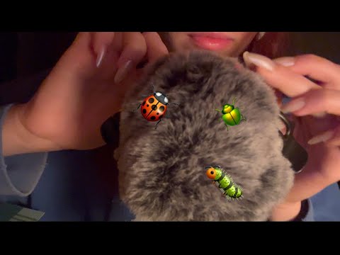 asmr plucking and eating bugs from the mic 🐞