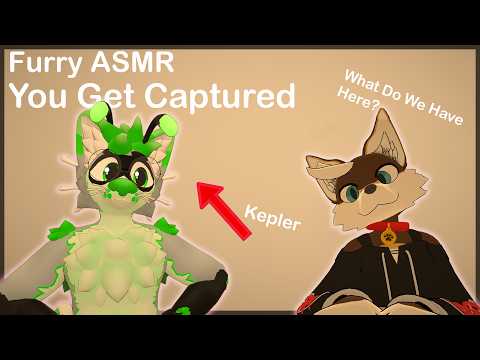 [Furry ASMR Collab] You Get Captured