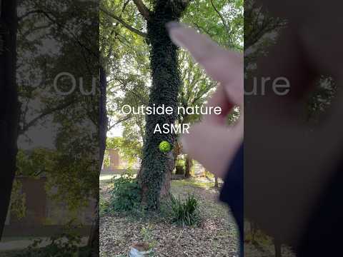 There is a park beside this tiny forest you will hear kids noises #outdoorasmr #asmrshorts