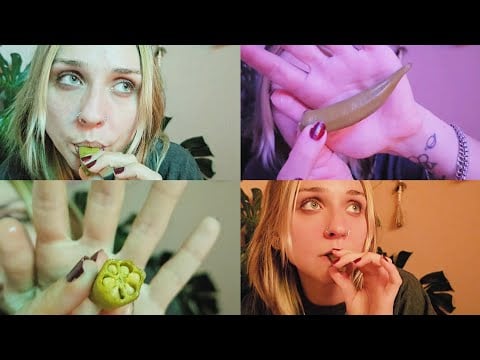 Eating pickled okra // mouth sounds asmr 