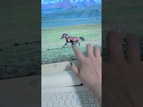 ASMR Tracing a horse 🐎 it’s a 4K video