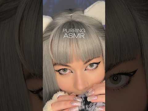 U like purring sound?🐾 #asmr #purring