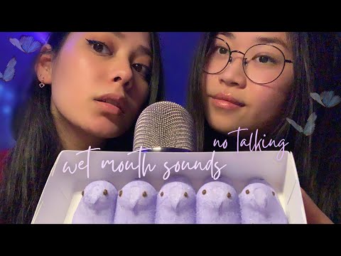 ASMR 30 MIN OF PURE TINGLY WET MOUTH SOUNDS | NO TALKING (looped, background asmr)