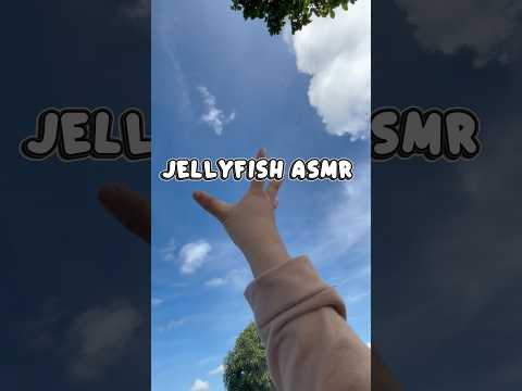 Jellyfish 🪼 sambil LIHAT AWAN #asmrvideo