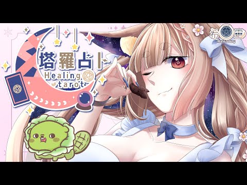 公益占卜｜11月是美國河狸月來幫助河狸吧！🔮✨🦊【Healing希靈/VTuber】