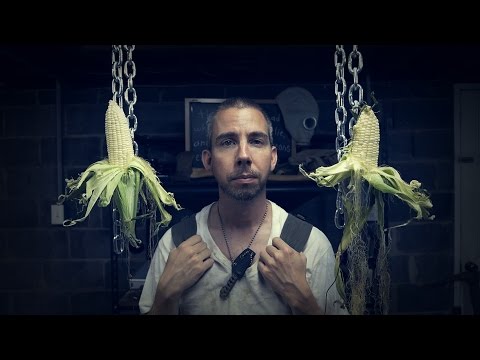 Binaural Corn Microphones [ VegeTech ASMR ]