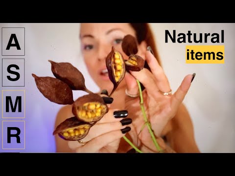 MOST Tingling ASMR * Tropical Plants * Pebbles * Shells * Wood * Nail Tapping and more (no talking)