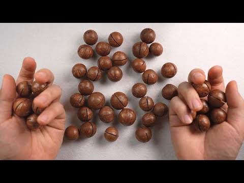 ASMR Very Satisfying Macadamia Nut Sounds