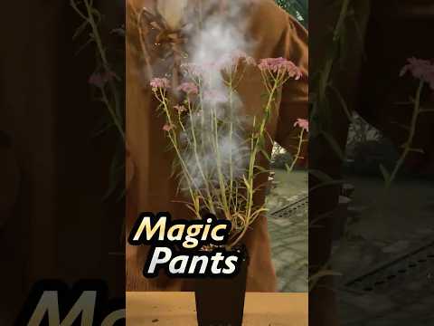 Magical Plants of ASMR  #shorts #asmr #asmrsounds