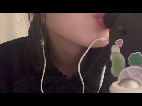 햄니 근황 & 입소리