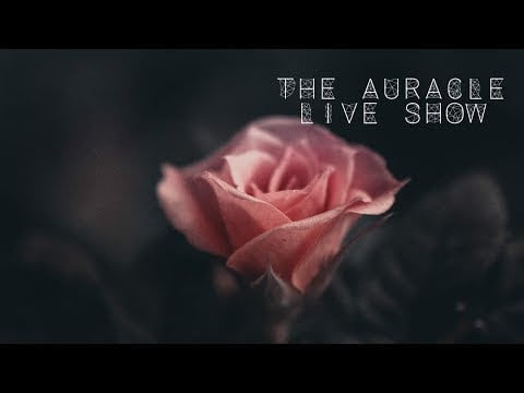 The Auracle ASMR  Live Stream 25th Nov 23:30 GMT live triggers and chill sounds....