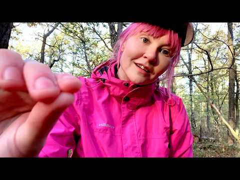 ASMR i skogen (swedish asmr outside)