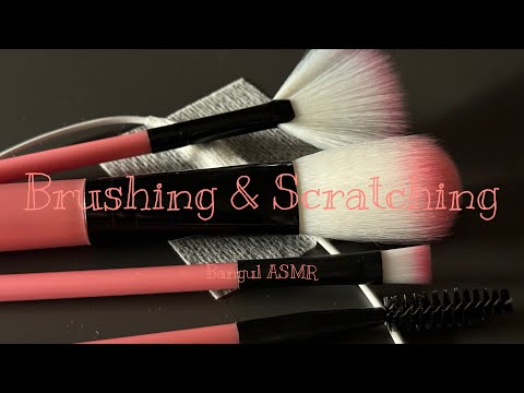ASMR 마이크 긁고 브러싱.. 반응이 좋던데요😝
