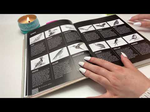 ASMR | book flipping | soft spoken | tapping