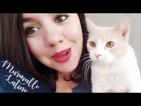 🔴 En VIVO: ASMR & Murmullo Latino