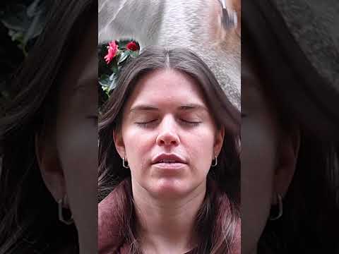 ASMR roleplay sharp or dull fail part 2 #asmrroleplay #asmr