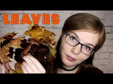 Crushing Dried Leaves, Soft-Spoken, Long | Crunchy Autumn Harvest | Binaural HD ASMR