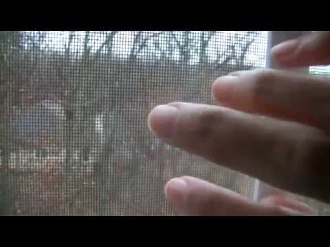 Ambers ASMR: *** Window Tapping ( NO TALKING + SOME SOFT RAIN AND CAR SOUNDS)***