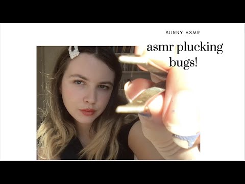 asmr plucking bugs out of your hair and body!!!