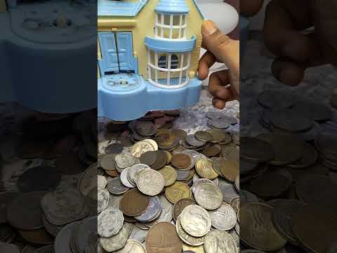 🐶 LIVE ASMR | Puppy Piggy Bank🐷 + Dog House🏠 | Super Relaxing Sleep Sounds 😴 | #asmr #live #trending