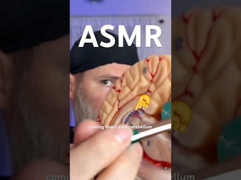 Fast ASMR Cranial Nerve Exam 🧠