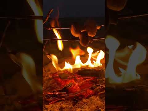 ASMR evening campfire 🔥