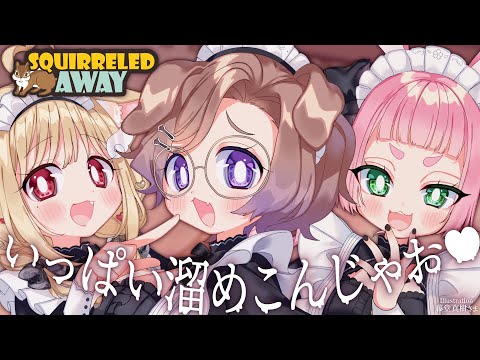 【コラボ】3匹のリスゥ！が走り回るゲーム【Squirreled Away】