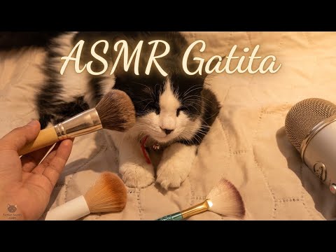 ASMR || Cat purring for relaxation 🐈‍⬛😴 ASMR con mi GATITA.🔥